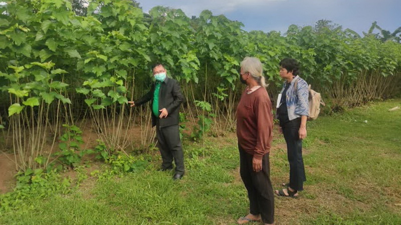 รองอธิบดีกรมหม่อนไหม ติดตามความก้าวหน้าการผลิตไข่ไหมพันธุ์ดีระบบ Seed production area ของศูนย์หม่อนไหมเฉลิมพระเกียรติฯ ขอนแก่น